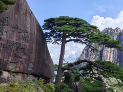 -大傻徽菜园·中国徽菜大师(老街店)