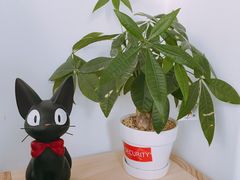 -拾年