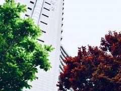 -天津海河悦榕庄·Lobby Lounge大堂吧