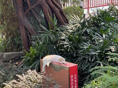 -荔湾湖公园