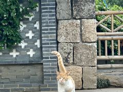 -龙华寺