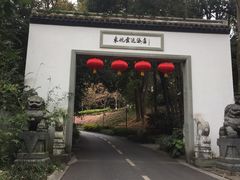 -东航云逸酒店(九溪烟树店)