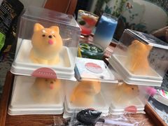 柴犬蛋糕-柴犬高等学院·狗咖·柴犬售卖·宠物训练