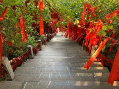 -爱康国宾体检中心(五角场万达广场分院)