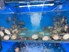 -桔子海鲜烧烤大排档(金沙滩店)