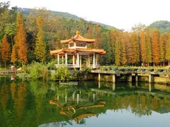 -深圳仙湖植物园
