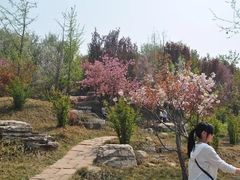 -石家庄市植物园