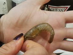 -华盛丰温州大排档(东三环南路店)