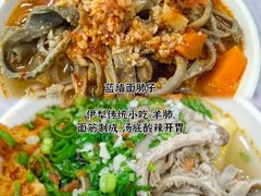 -伊犁河景区
