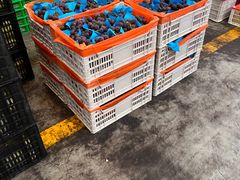 -西郊国际农产品交易中心