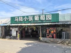 -马陆小张葡萄园农家乐