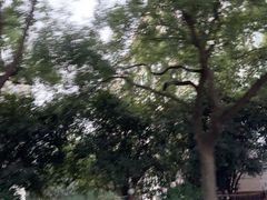 -马王堆汉墓遗址