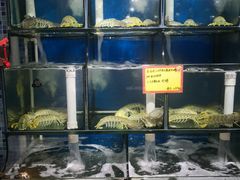水产区-蚝专家(北滘店)