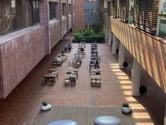 -香港大学