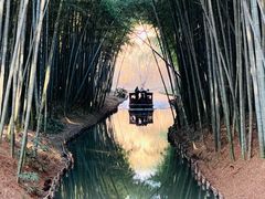 -同里国家湿地公园