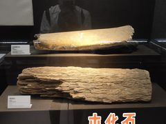 -泗洪县文化艺术中心