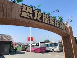 -恐龙探索乐园(磁器口店)