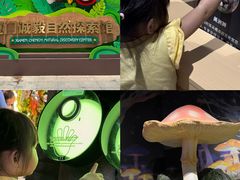 -厦门诚毅自然探索馆