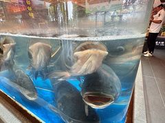 -老浦口1914商业街(江山路店)