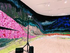 -旧金山现代艺术博物馆