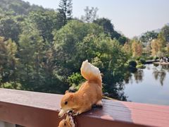 -云溪植物园
