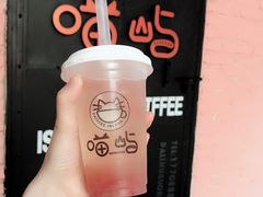 -喵屿·大理花园猫咖