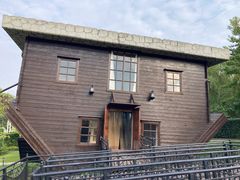 -金山农民画村-枫泾波兰倒置屋