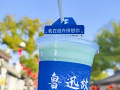-绍兴鲁迅故里·沈园景区