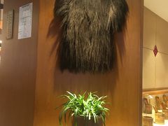 -新凯里酸汤鱼(飞山街店)