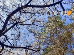 -吉林大学(南岭校区)