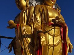 -长虫山生态公园风景林