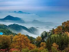 -莫干山风景区