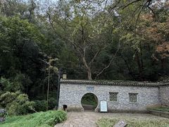 -镇江市南山风景名胜区竹林景区