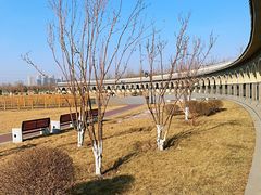 -水西公园