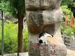 -四门塔风景区