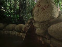 -三江森林温泉度假区
