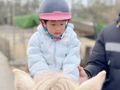 -前小桔亲子创意农场·草莓采摘·露营烧烤