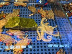 -鱼满舱·鲜活海鲜·正宗鲁菜