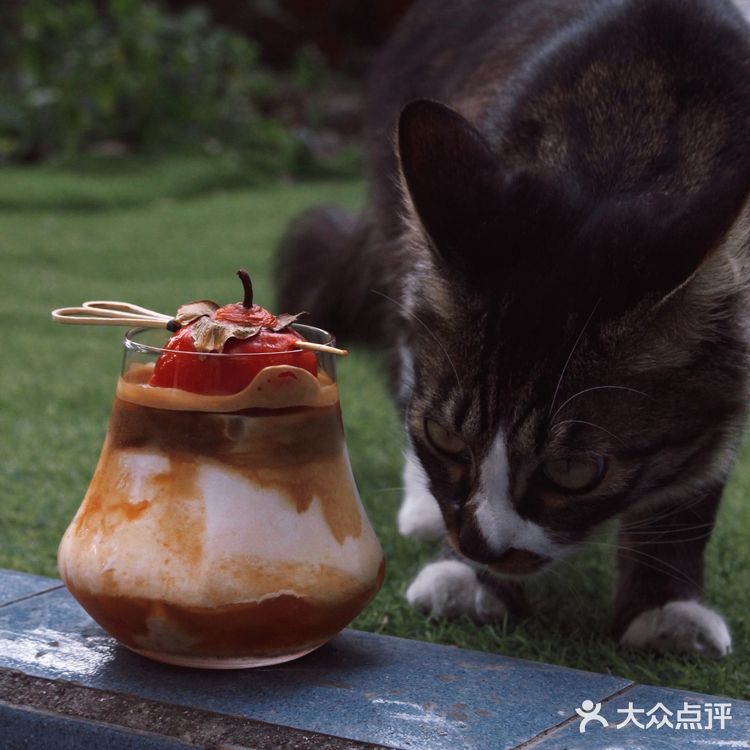 走成华大道，去喝一杯好喝又便宜的社区咖啡
