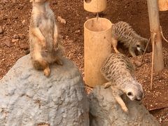 -昆明动物园