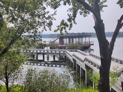 -贡湖湾湿地公园