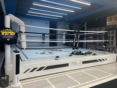 -臻元搏击格斗泰拳拳馆(港隆店)
