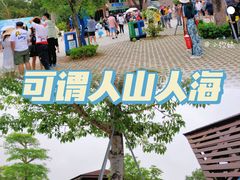 -广东惠东海龟国家级自然保护区