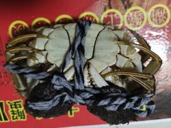 -乡乐园蟹庄·阳澄湖农家乐