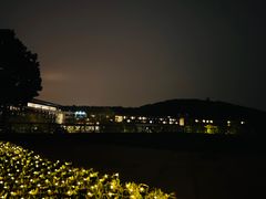 -上海佘山茂御臻品之选酒店(原佘山艾美酒店)