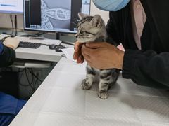 -达爱动物医院·犬猫分区·CT·复杂眼科(远洋山水分院)