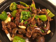 -龙小海荆沙鸽子店(瑞安街店)