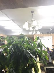 -东方美妍