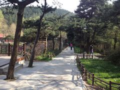 景点-庐山风景区花径公园