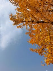 点击看大图 -YUEYAR PHOTO摄影